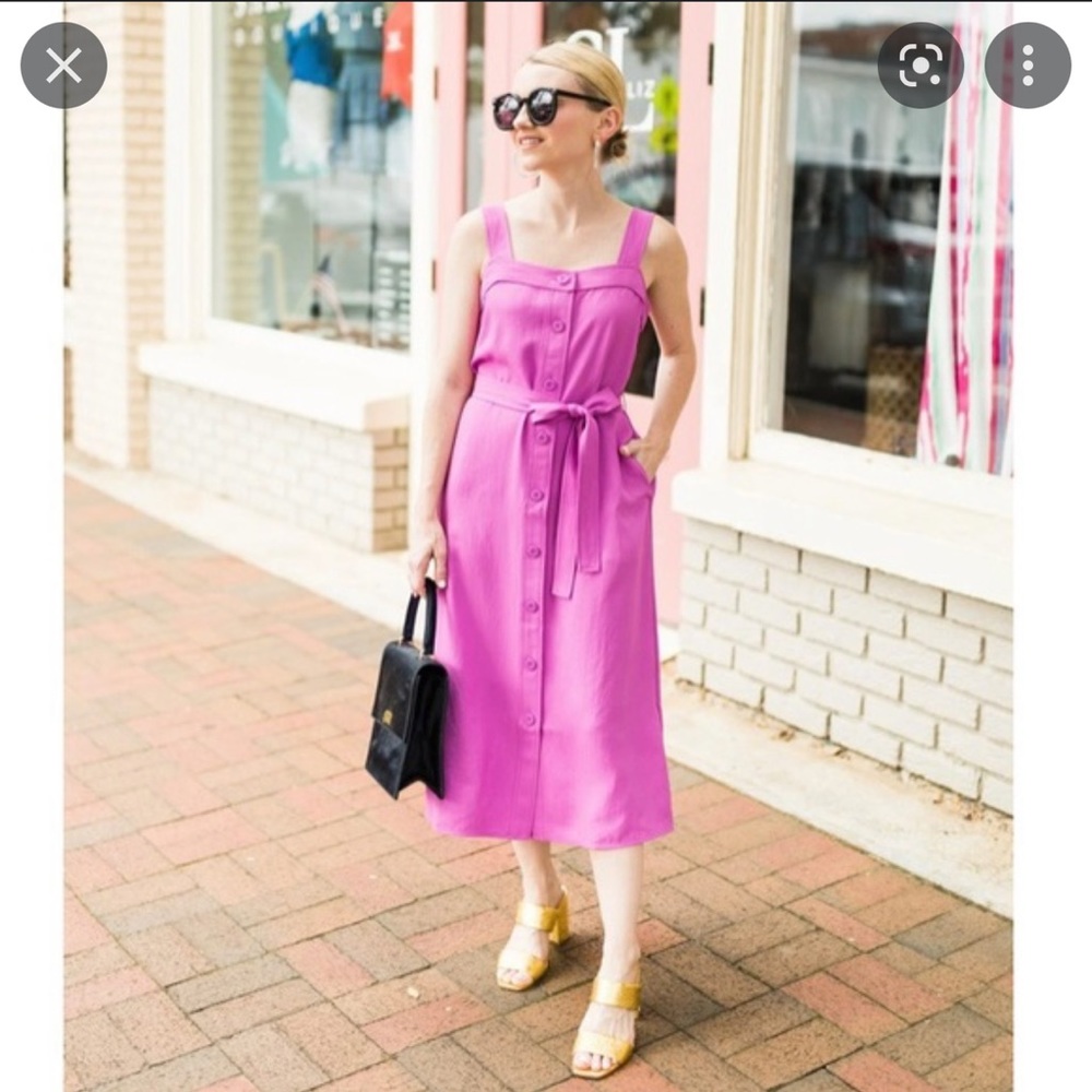 BNWT Everlane SZ 0 Japanese GoWeave picnic dress in magenta
